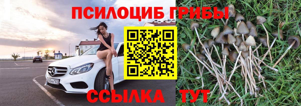 Апатиты  Галлюциногенные грибы прущие грибы  Вход с VPN 