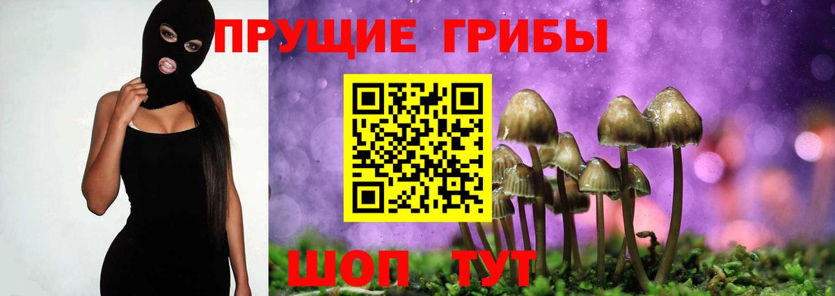 Галлюциногенные грибы MAGIC MUSHROOMS Апатиты